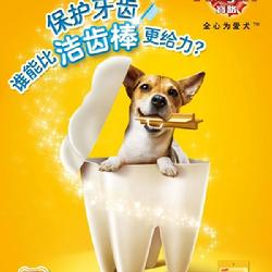 《寵物食品 從生存口糧到愛的專屬符號》